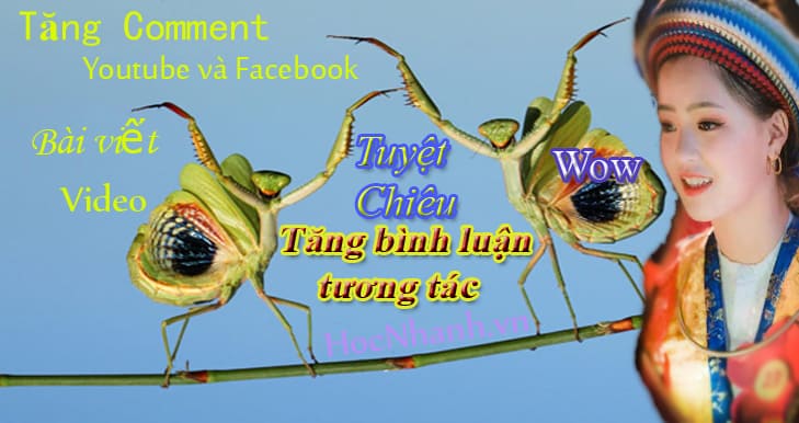 Dich Vu tang Comment Youtube Va Facebook