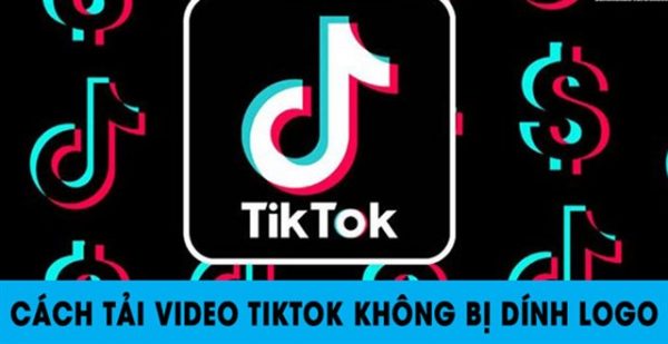 Chỉ bạn đọc cách lưu clip Tik Tok không logo nhanh chóng