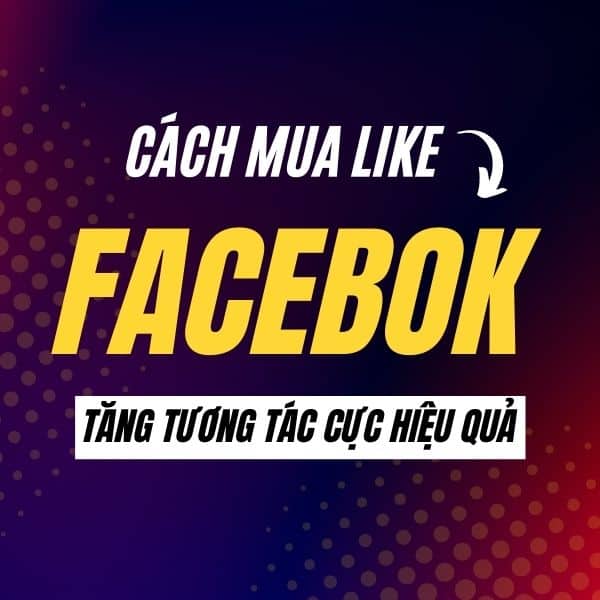 mua+like+facebook+vnfame+đơn+giản+uy+tín+tăng+nhanh