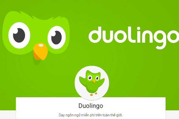 Mách bạn cách tải Duolingo về máy tính đơn giản, nhanh chóng